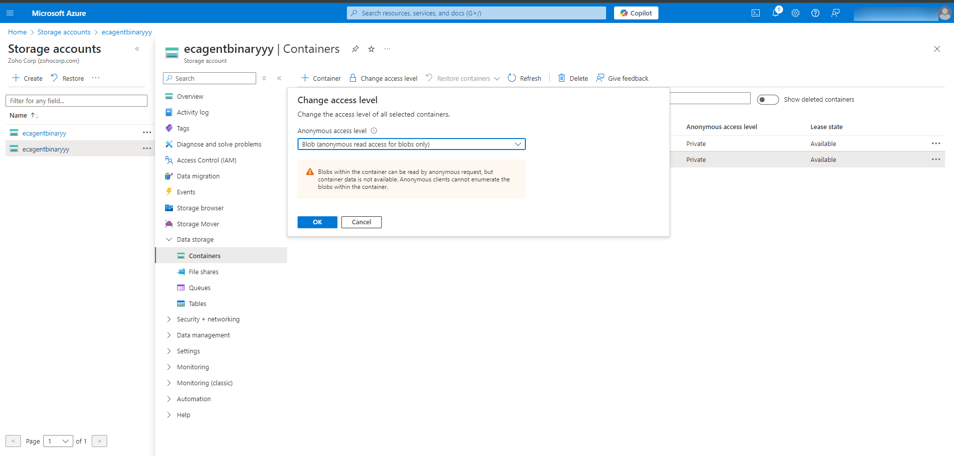 Set the access level to Blob and click OK. Set the access level to Blob and click OK.