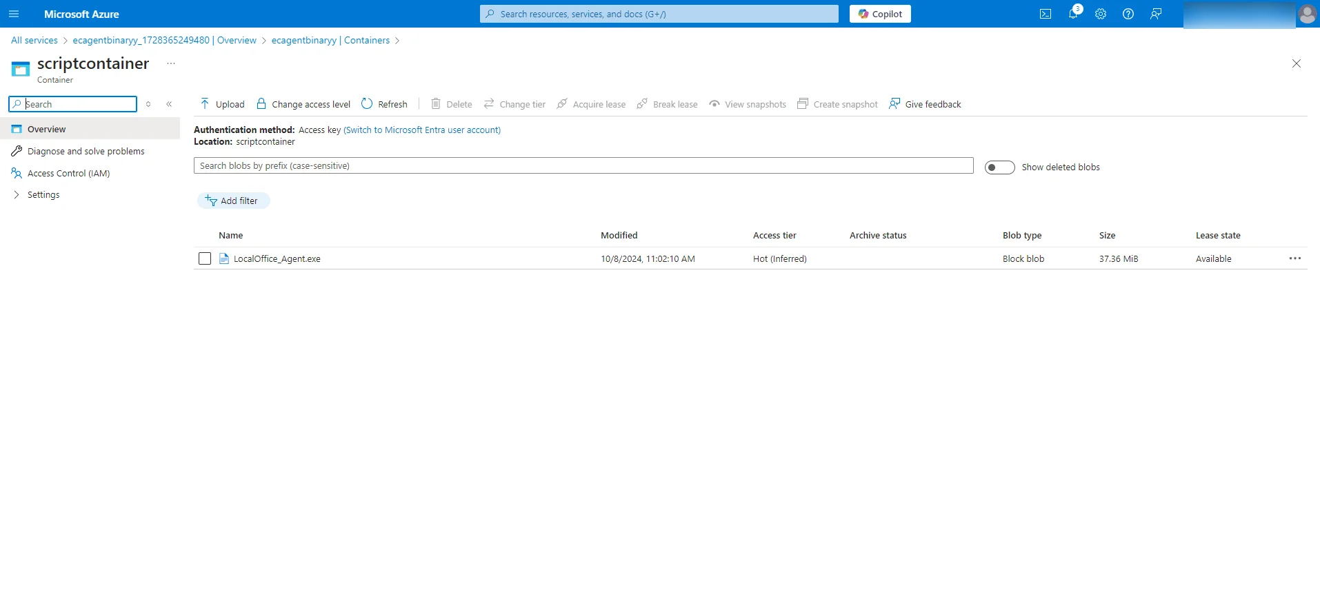 scriptcontainer showing the uploaded agent file