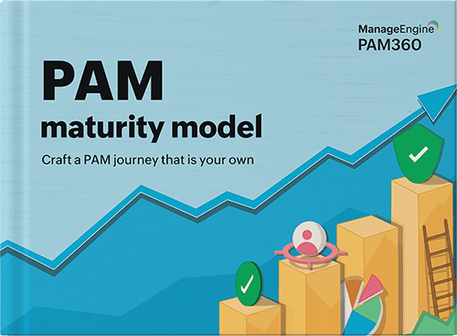 PAM maturity model