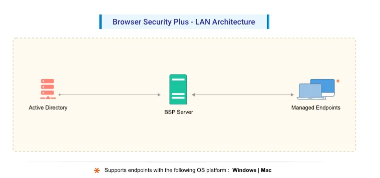 Browser Security Plus LAN architecture