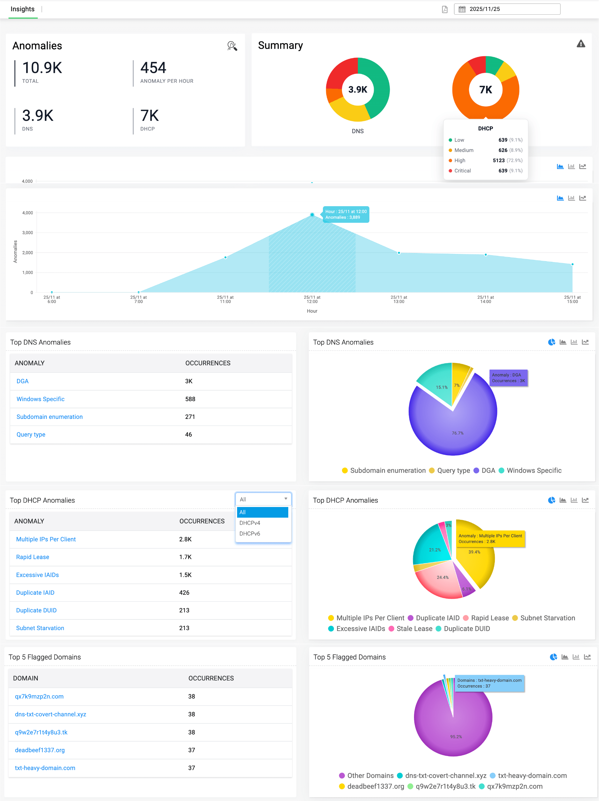 DNS anomalies insights