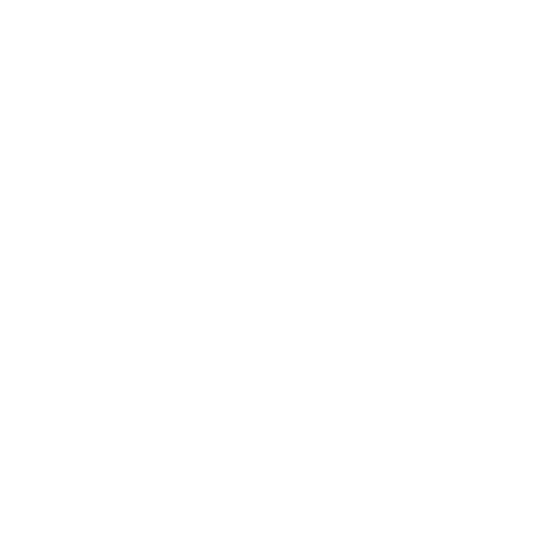 BANCO PRODEM logo