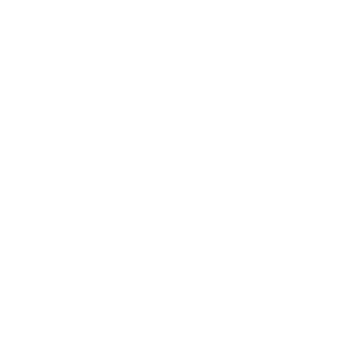 CITY EXPRESS HOTELES logo