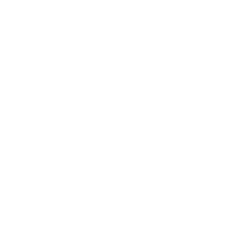 COPA MEX logo