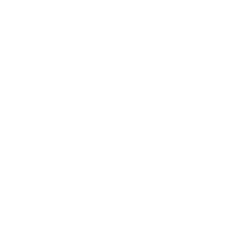 ENSA logo