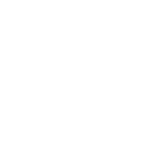 GAYOSSO logo