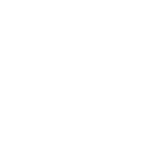 GRUPO SALINAS logo