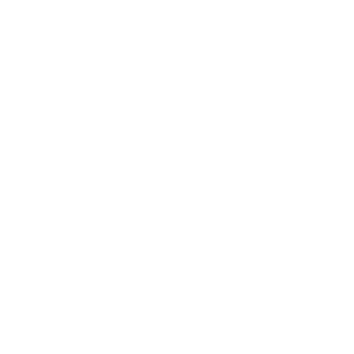 Impuestos internos logo