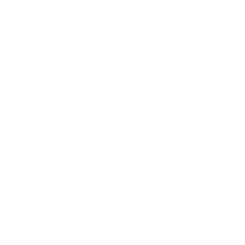 STEREN logo