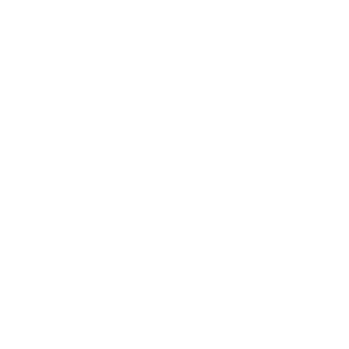 presidencia de la republica domnicana logo