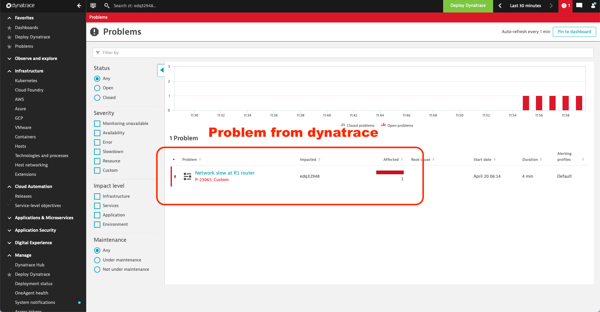 Support ticket in Dynatrace