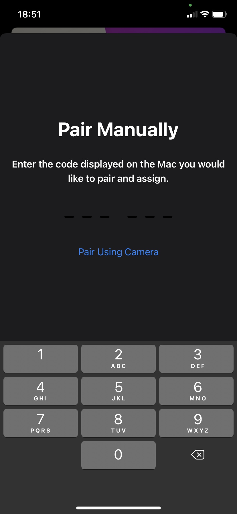 Pair with pin