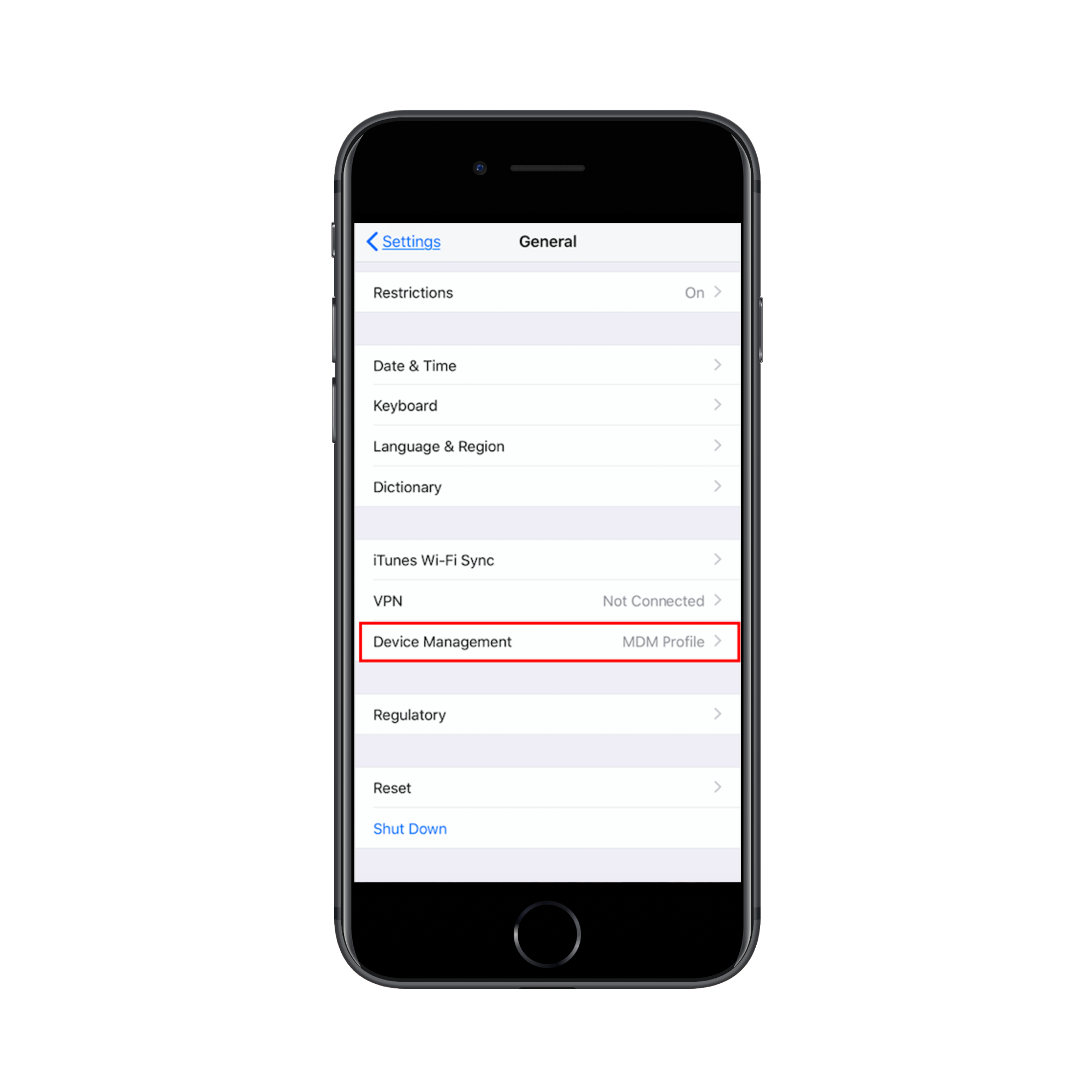 iOS Profiles & Device Management screen listing the existing MDM profile
