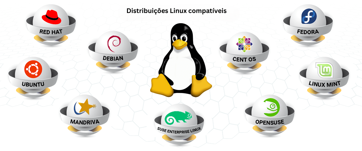 Linux Remote Control Software