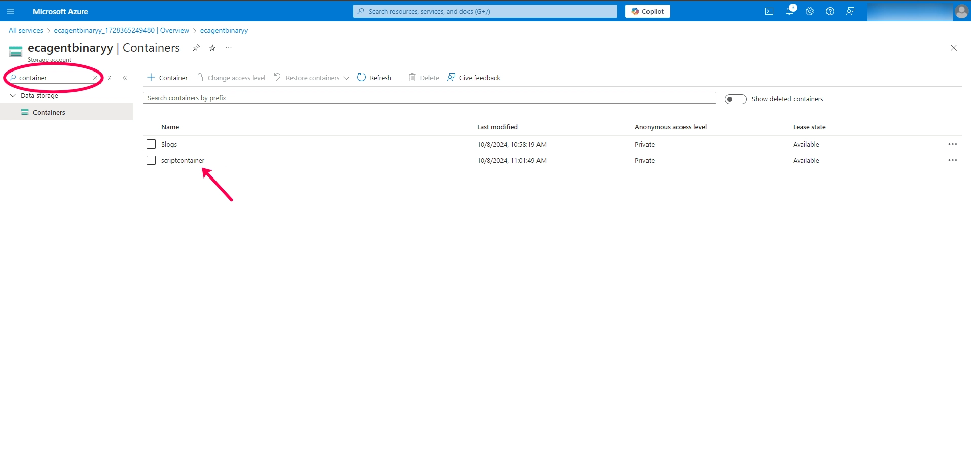 Open scriptcontainer Opening scriptcontainer from the Containers tab