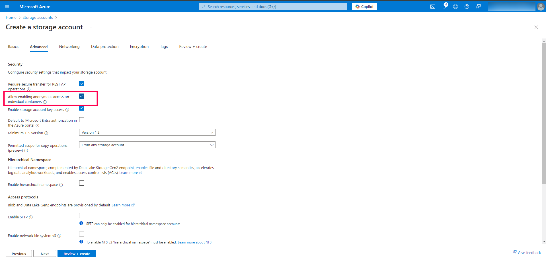 Ensure that the option Allow enabling anonymous access on individual containers is checked.
