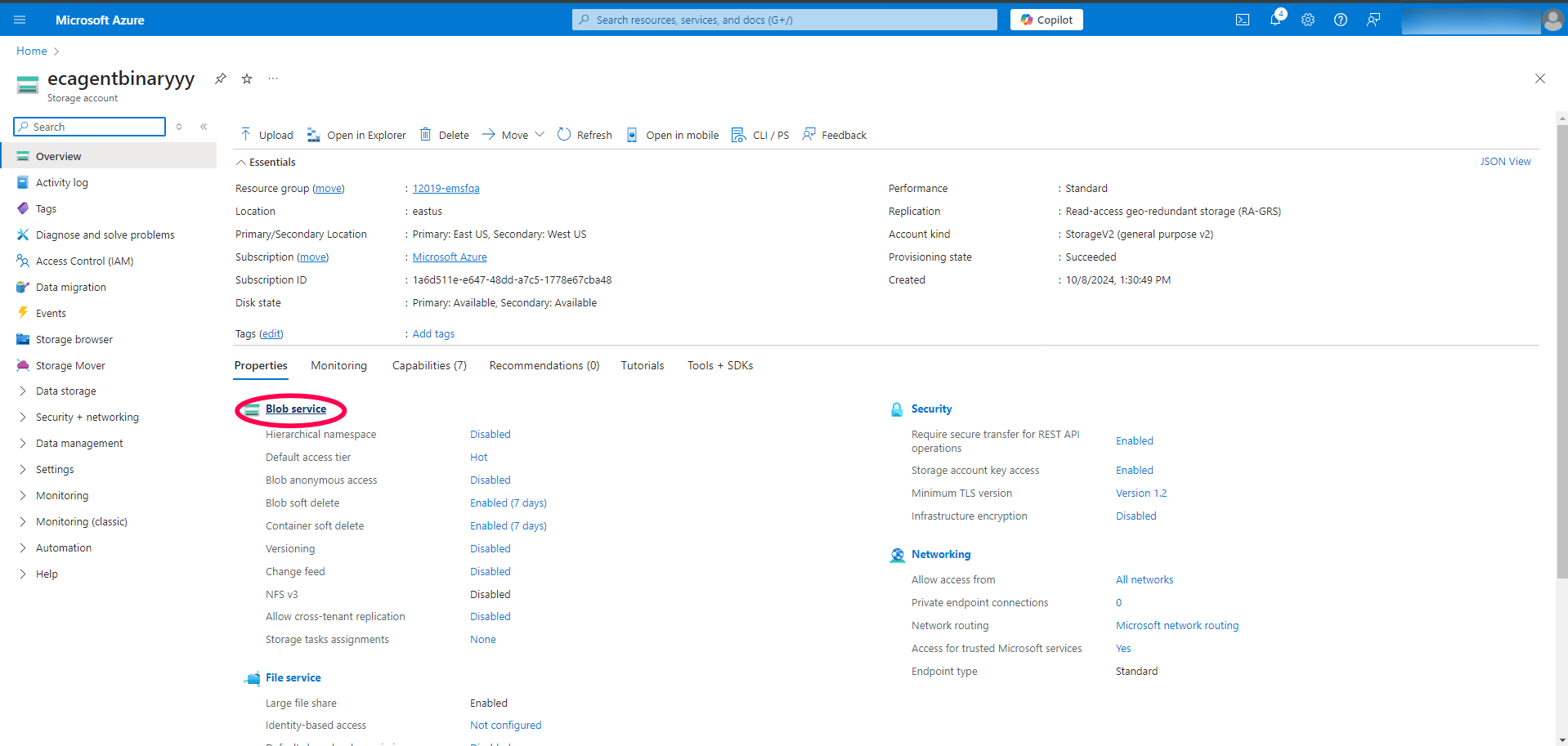 Access Blob Services: Click on Blob service.