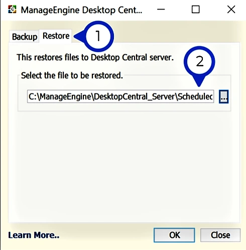 Restoring in Central server using the backup