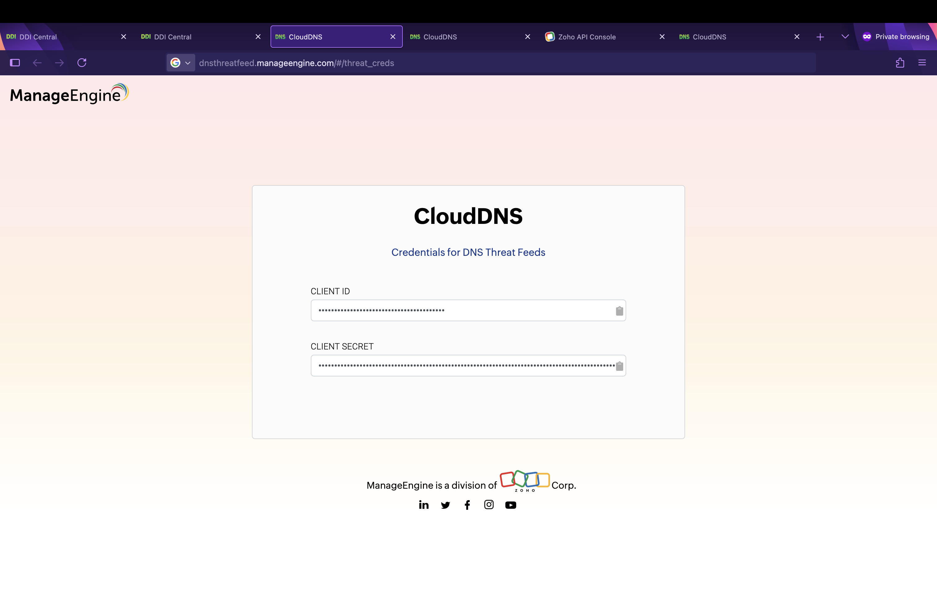 CloudDNS credentials input screen