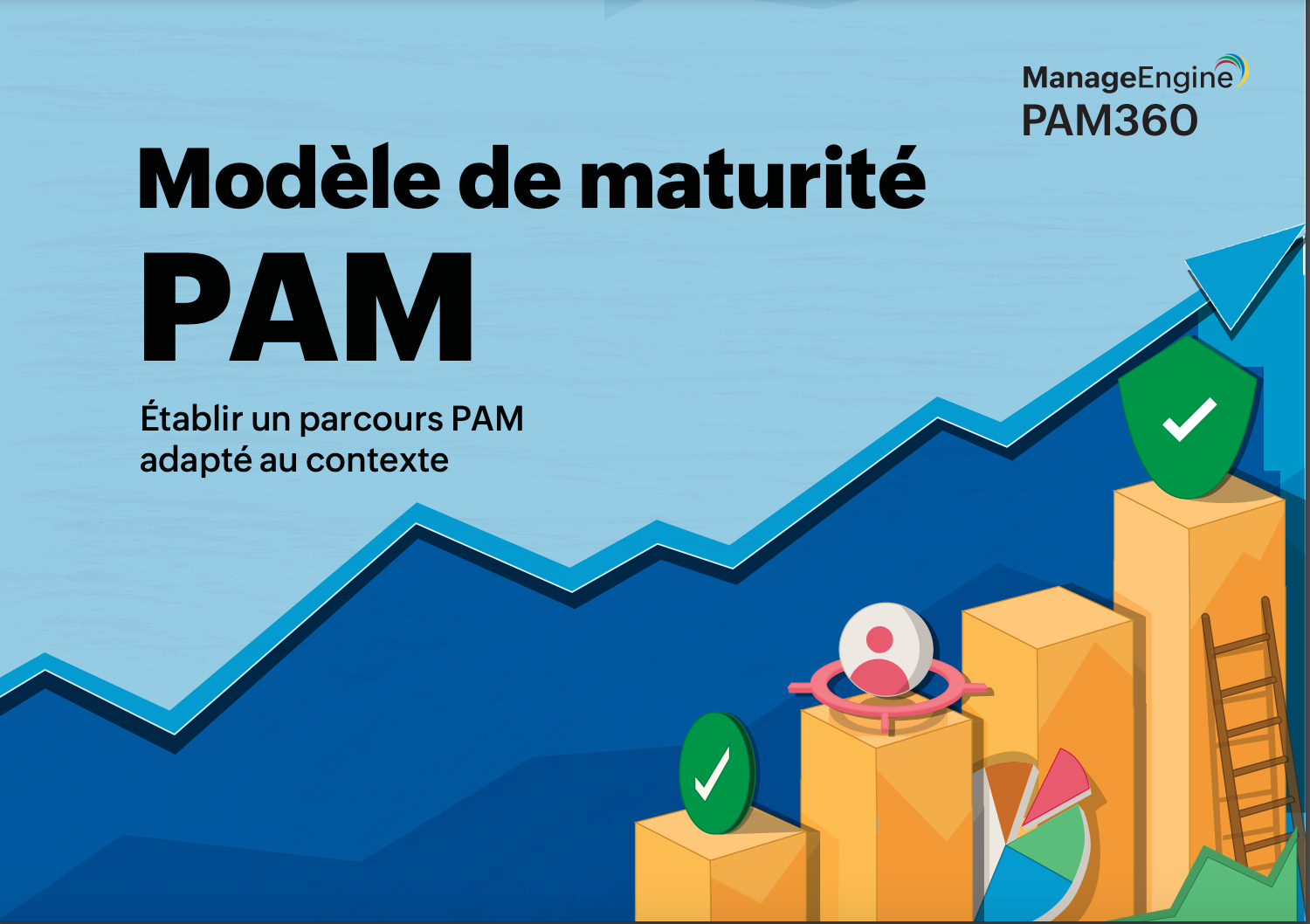 An all-encompassing, objective approach to PAM maturity