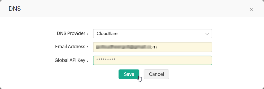 Click to Expand configure-dns-account-3