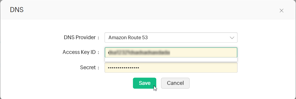 Click to Expand configure-dns-account-4
