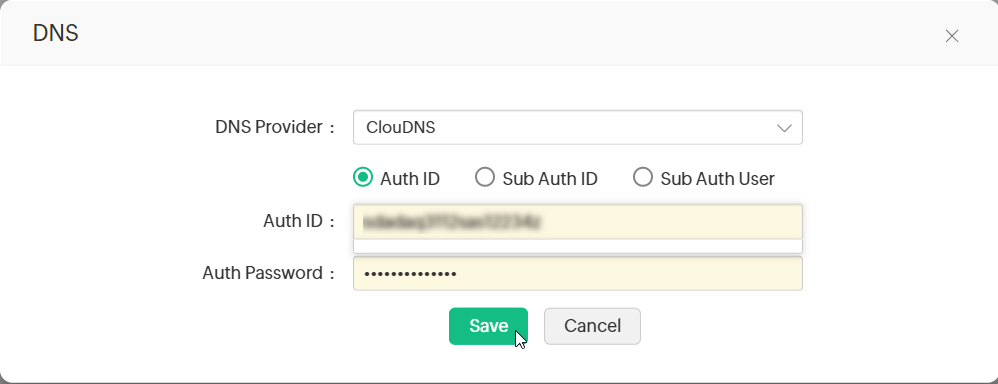 Click to Expand configure-dns-account-7