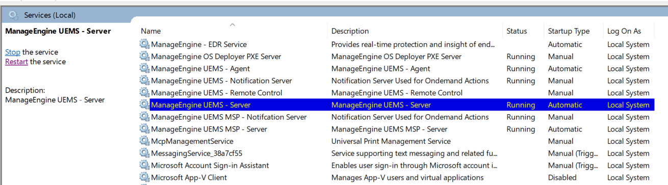 Stopping Central server service in Windows Services