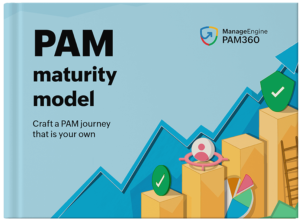 PAM maturity model 2026