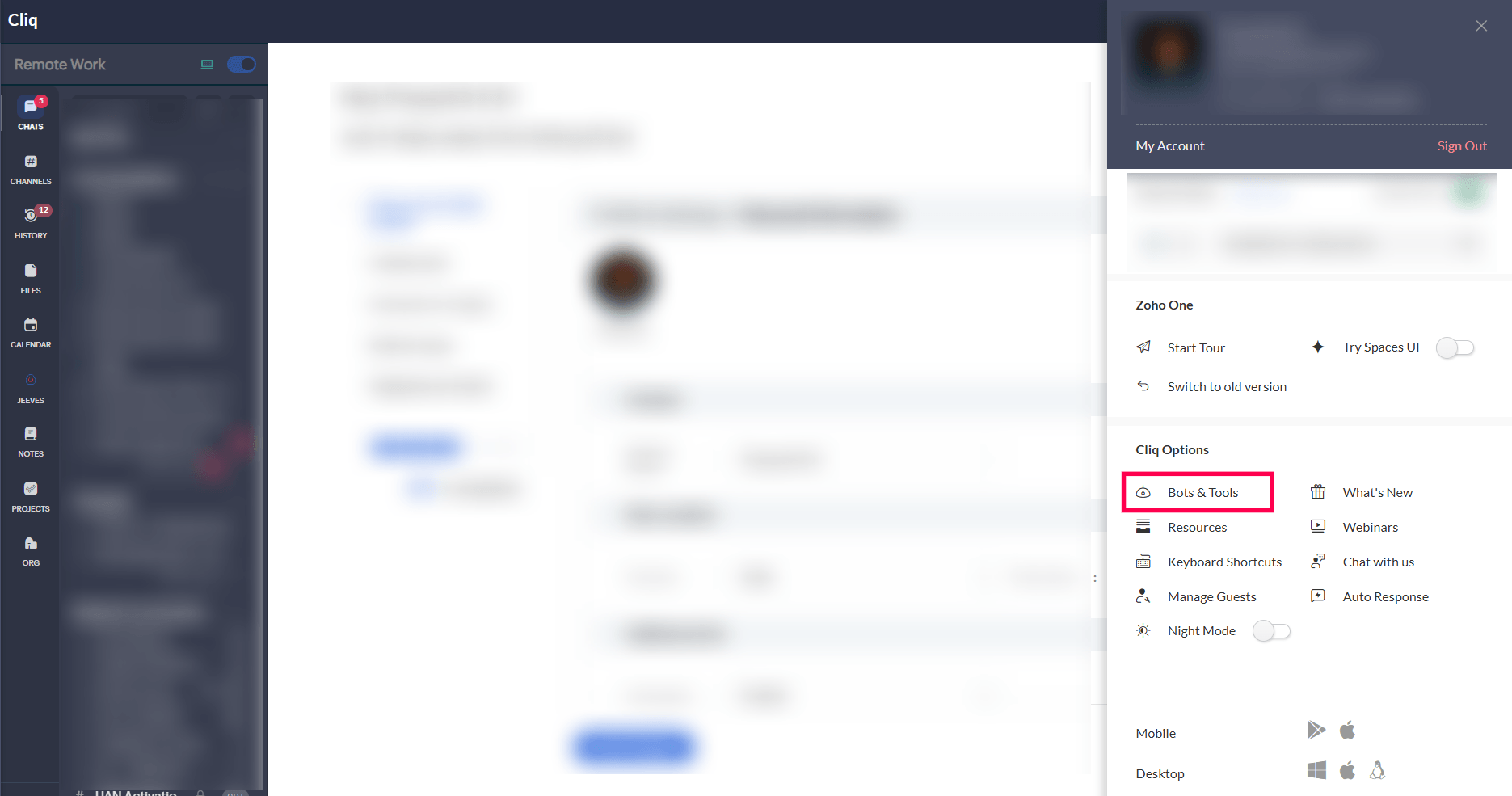cliq-webhook token