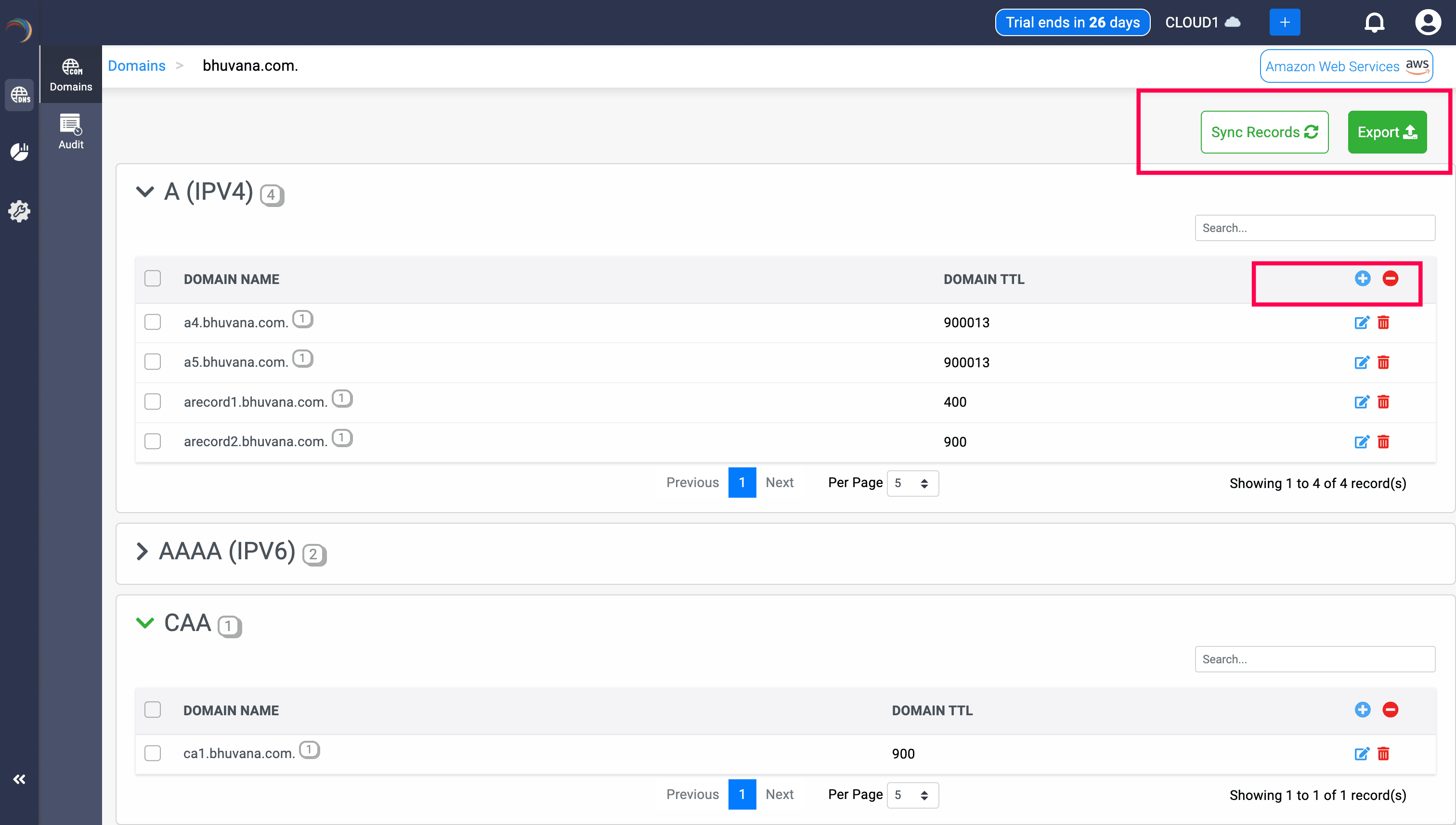 Domain Records Management Interface