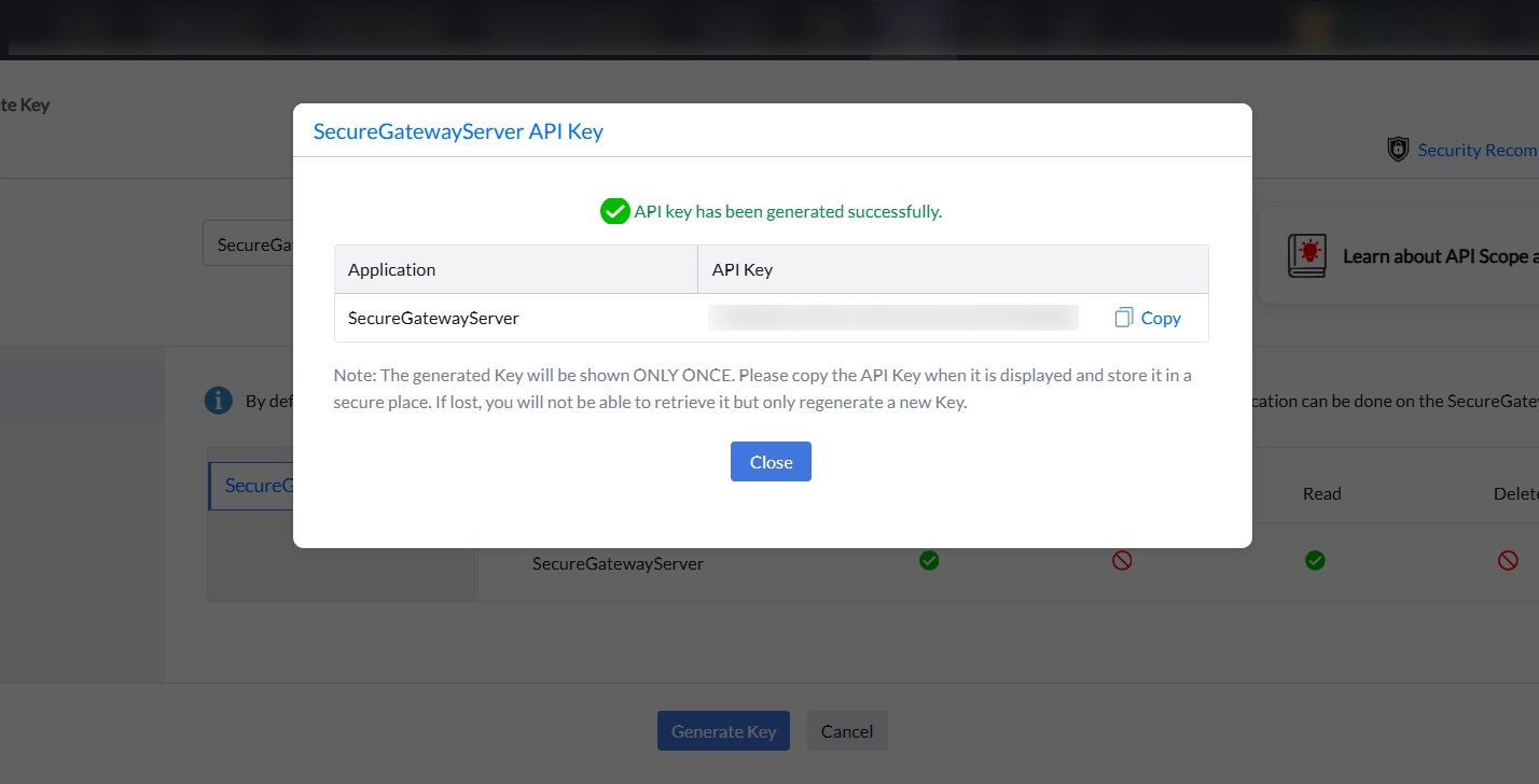 Copy Generated API key